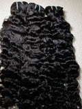 burmese curly - double drawn